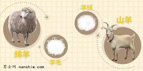 �r����ë������δ���������ֱ�ů��