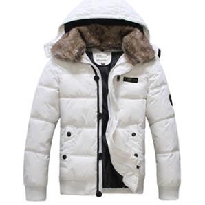 ��ʿ�̿���q��