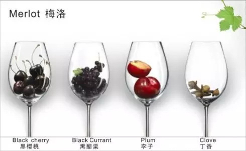 �������^���˶���ϲ�g�����Ѿ�