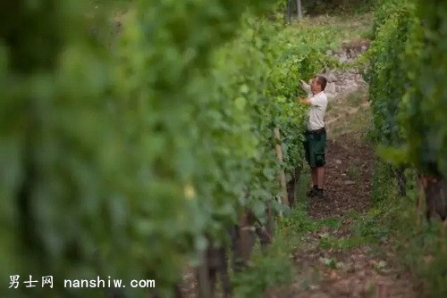 �@�������Ѿƣ�ֵ���㼚��Ʒζ