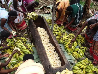 4�N�ؿ�ζ�ľ����o����ҺȆ���