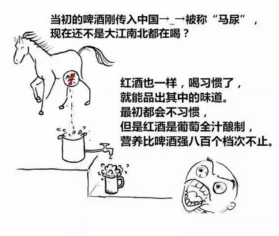 ��ʲô������X�t�Ʋ��ú�������ʲô���}��