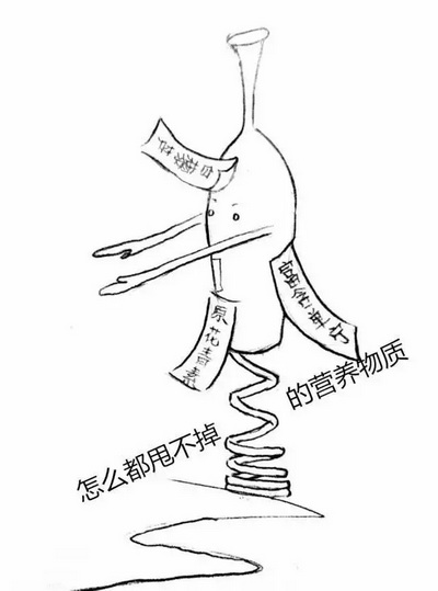 ��ʲô������X�t�Ʋ��ú�������ʲô���}��