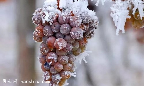 ʲô�Ǳ�������ʲô�u(m��i)���@ô�F��