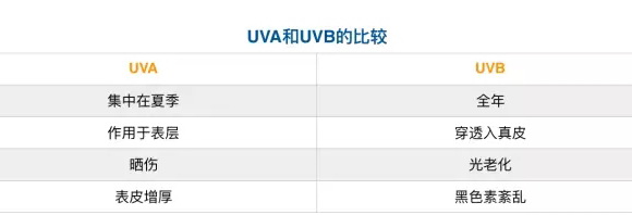 ���������ʿ����x�����˪��